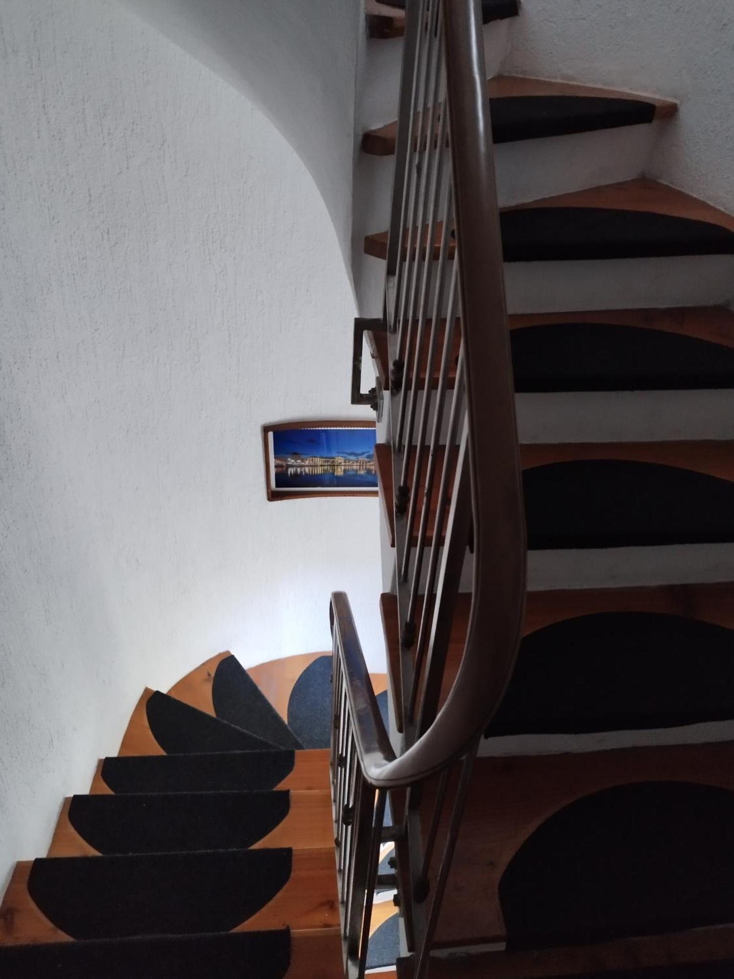 Guesthouse Lion سبليت المظهر الخارجي الصورة